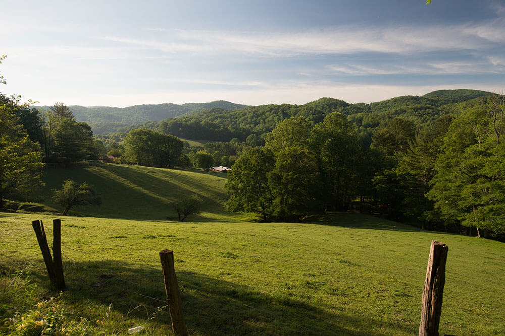 Rolling hills and trees in Valle Crucis