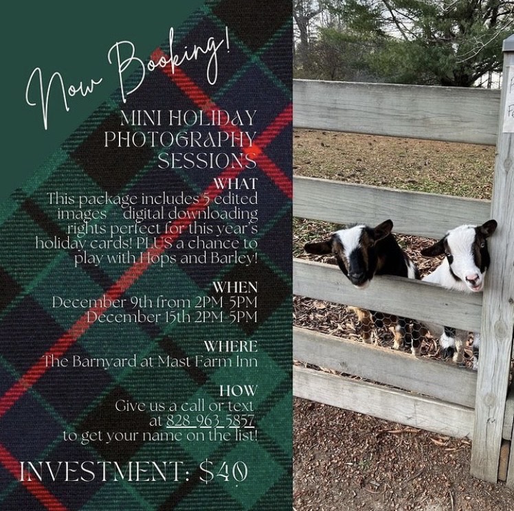 Holiday Photoshoot at Mast Farm Inn for families in north carolina